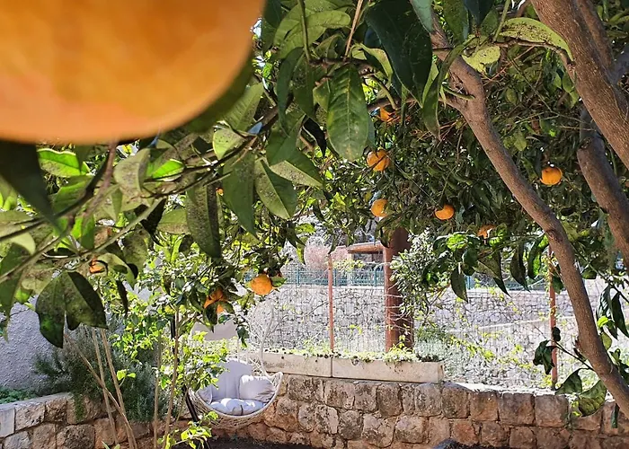 Barbara's Garden דוברובניק
