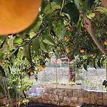 Barbara's Garden Dubrovnik
