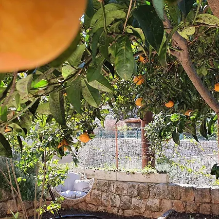 Barbara's Garden Ragusa